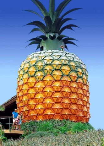 Big pineapple